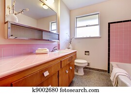PInk old bathroom interior with tub.