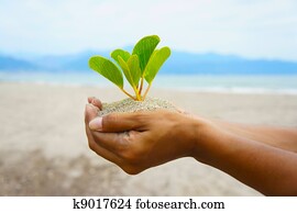 Eco Friendly Eco Friendly