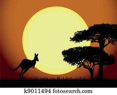 Kangaroo at sunset Kangaroo at sunset