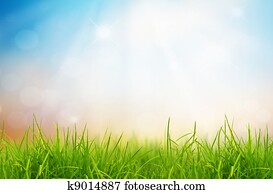 primavera, natureza, fundo, com, capim, azul, céu, costas