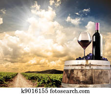 Wine still life against vineyard Wine still life against vineyard