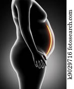 Fat woman obesity concept Fat woman obesity concept