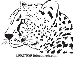 Leopard Leopard