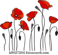 red poppies red poppies
