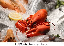 Seafood Seafood