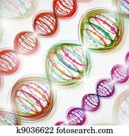 DNA molecule DNA molecule