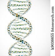 DNA molecule DNA molecule