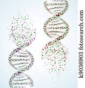 DNA molecule DNA molecule