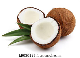 Fresh coconut Fresh coconut