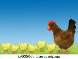 Hen and chicken Hen and chicken