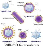 hepatitis, viren, comparison,, eps10 hepatitis, viren, comparison,, eps10
