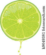 Lime Slice - Vector