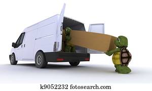 tortues, chargement, a, fourgon