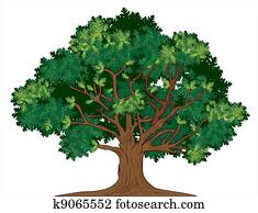 וקטור, עץ של אלון