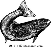  Salmon Clip Art Vectors Our Top 1000 Salmon EPS Images Fotosearch