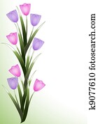 Spring tulip border Spring tulip border