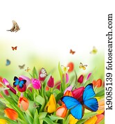 Beautiful spring flowers with butterflies Beautiful spring flowers with butterflies