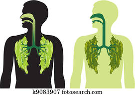 green lung lobes - a breath of fres