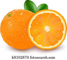 Orange Fruit Orange Fruit