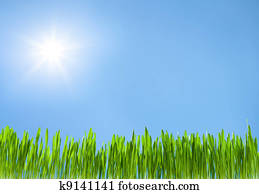 Tierra, pasto o césped, y, cielo, plano de fondo Colección de imágen