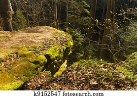 sunlit rocky promontory