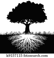 árvore, raizes, silueta