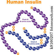 בן אנוש, insulin.