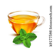 ミント 葉 イラスト K Fotosearch