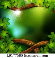 background of the mystical mysterious forest with trees a background of the mystical mysterious forest with trees a