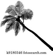 Palm Tree Silhouette Palm Tree Silhouette