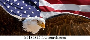Patriotic Eagle Patriotic Eagle