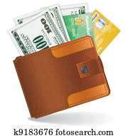 Purse with Dollars and Credit Cards