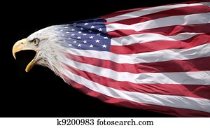 Eagle and flag