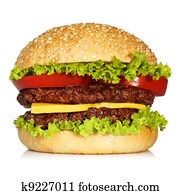 hamburger hamburger