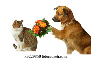 Please, forgive me...