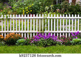 White Picket Fence White Picket Fence