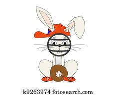 Baseball Bunny