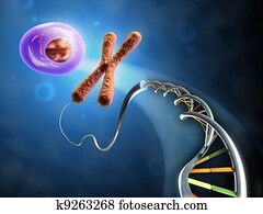 From Dna to cell From Dna to cell