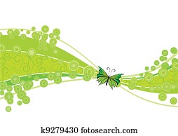 butterfly butterfly