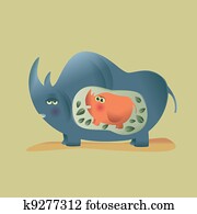 rhino Mom rhino Mom