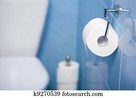toilet paper toilet paper