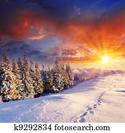 winter winter