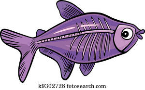 ציור היתולי, רנטגן, fish