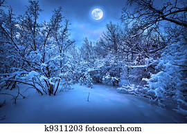 Moonlight night in winter wood