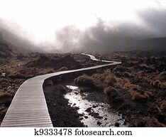 Long footpath, boardwalk