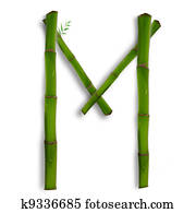 One capital letter of bamboo alphabet with shadow over white