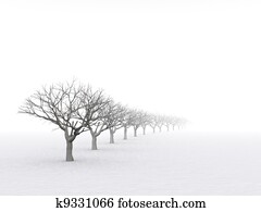 trees in misty haze in a gloomy winter day trees in misty haze in a gloomy winter day