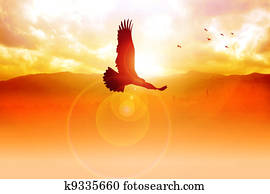 חופש, ב, ה, שמיים