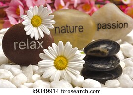 jardim zen, com, pedras, de, relaxe, natureza, e, paixão