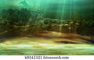 underwater underwater